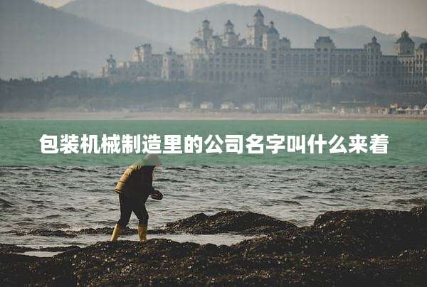 包装机械制造里的公司名字叫什么来着