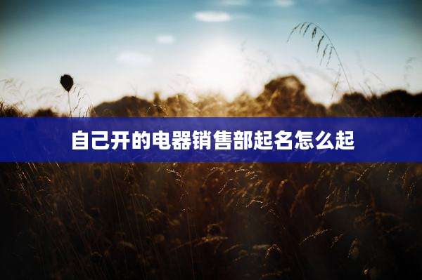 自己开的电器销售部起名怎么起
