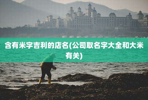 含有米字吉利的店名(公司取名字大全和大米有关)
