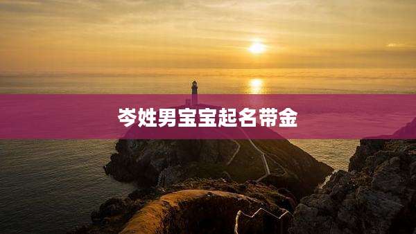 岑姓男宝宝起名带金