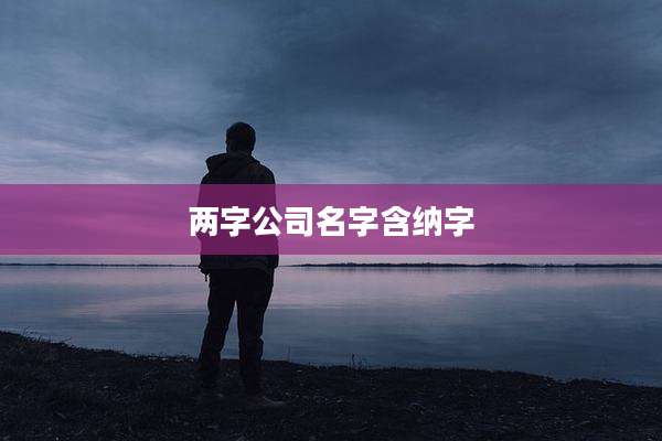 两字公司名字含纳字