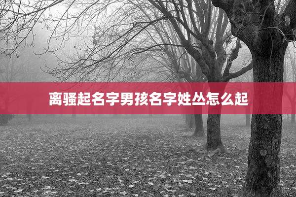 离骚起名字男孩名字姓丛怎么起