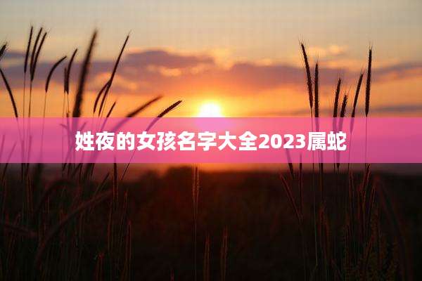 姓夜的女孩名字大全2023属蛇