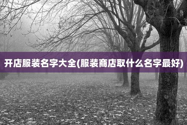 开店服装名字大全(服装商店取什么名字最好)