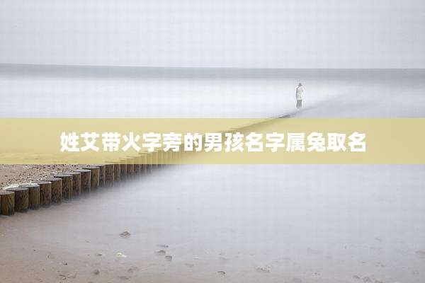 姓艾带火字旁的男孩名字属兔取名