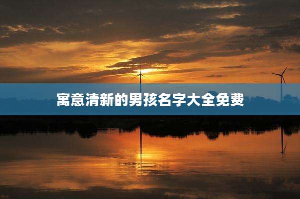 寓意清新的男孩名字大全免费