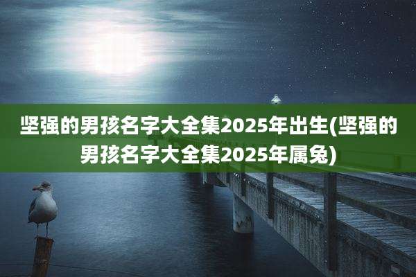 坚强的男孩名字大全集2025年出生(坚强的男孩名字大全集2025年属兔)