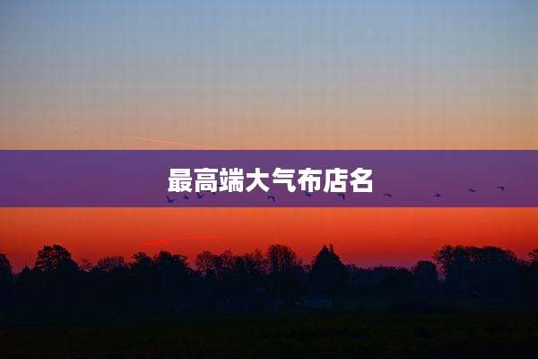 最高端大气布店名