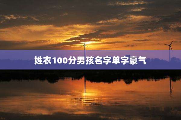 姓衣100分男孩名字单字豪气