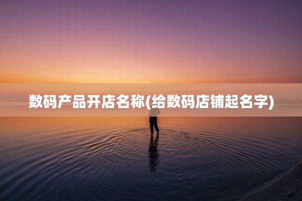 数码产品开店名称(给数码店铺起名字)
