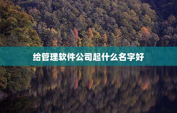 给管理软件公司起什么名字好