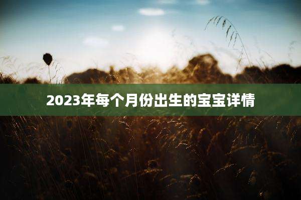2023年每个月份出生的宝宝详情