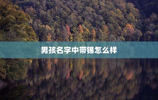 男孩名字中带锡怎么样
