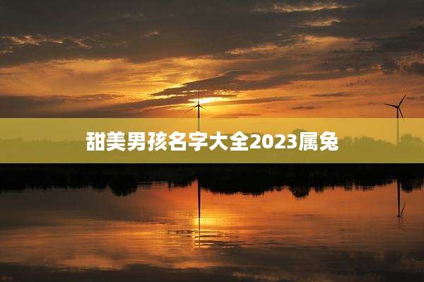 甜美男孩名字大全2023属兔