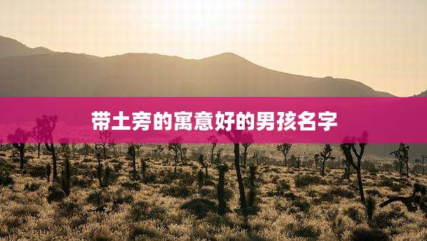 带土旁的寓意好的男孩名字
