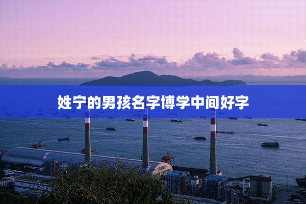 姓宁的男孩名字博学中间好字