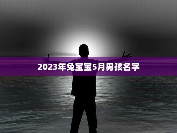 2023年兔宝宝5月男孩名字