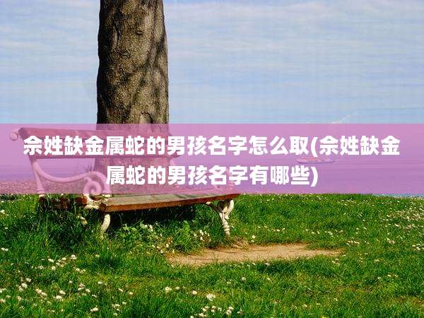 佘姓缺金属蛇的男孩名字怎么取(佘姓缺金属蛇的男孩名字有哪些)