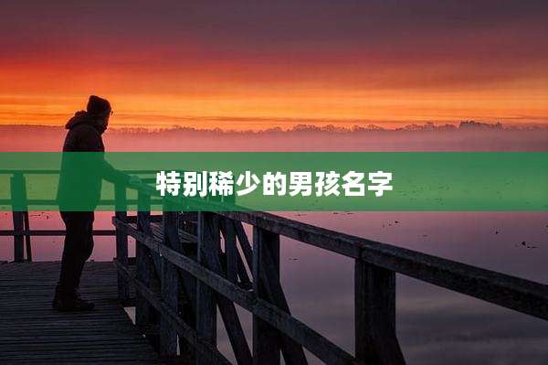 特别稀少的男孩名字
