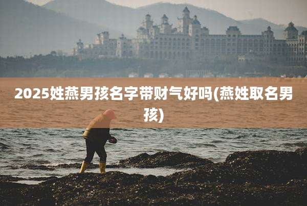 2025姓燕男孩名字带财气好吗(燕姓取名男孩)
