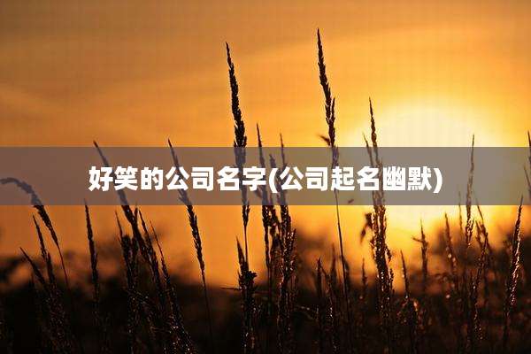 好笑的公司名字(公司起名幽默)