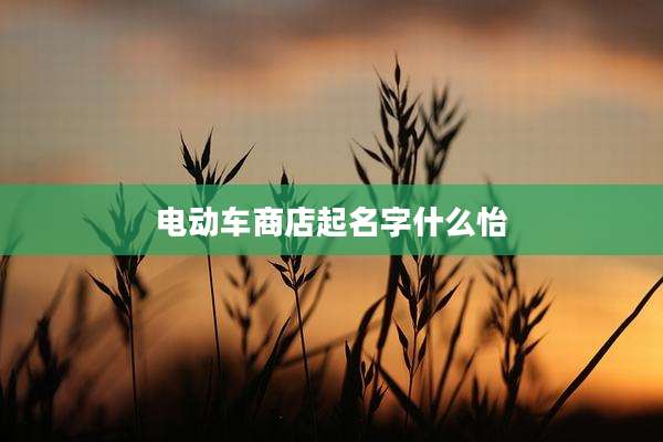 电动车商店起名字什么怡