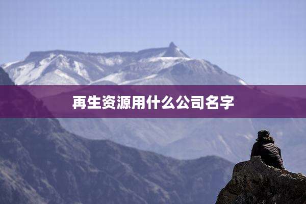 再生资源用什么公司名字