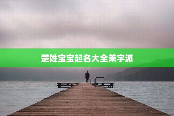 楚姓宝宝起名大全茉字派