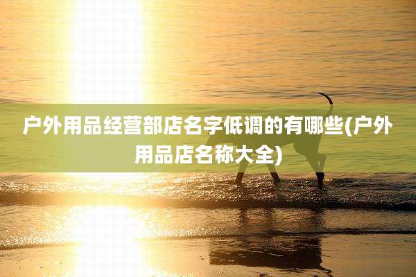 户外用品经营部店名字低调的有哪些(户外用品店名称大全)