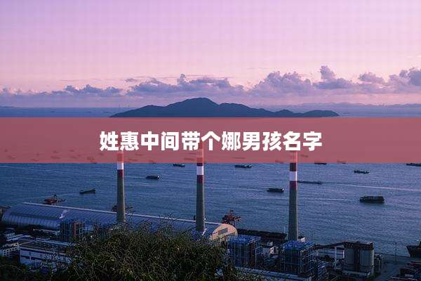 姓惠中间带个娜男孩名字