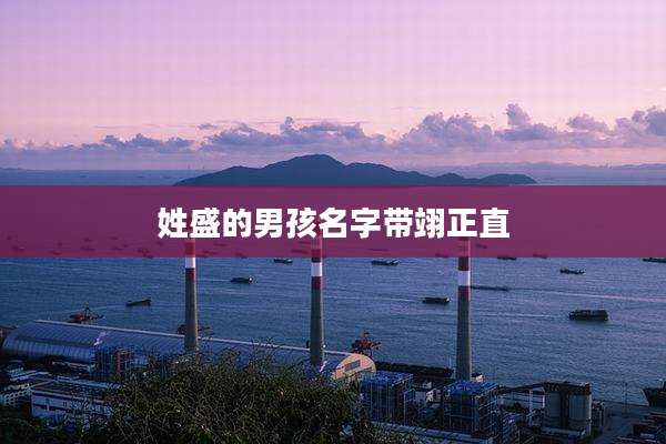 姓盛的男孩名字带翊正直