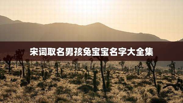 宋词取名男孩兔宝宝名字大全集