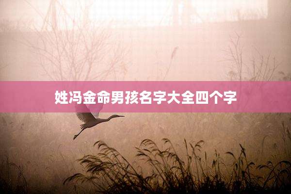 姓冯金命男孩名字大全四个字