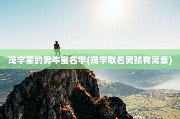 茂字辈的男牛宝名字(茂字取名男孩有寓意)