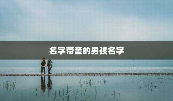 名字带奎的男孩名字