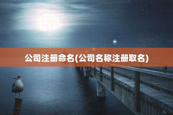 公司注册命名(公司名称注册取名)