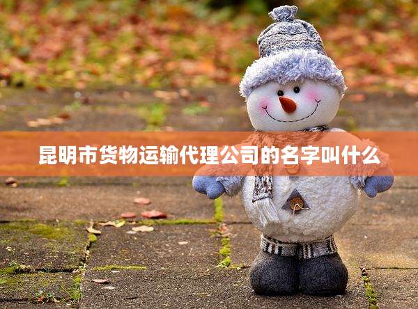 昆明市货物运输代理公司的名字叫什么