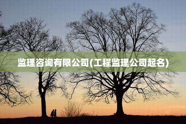 监理咨询有限公司(工程监理公司起名)