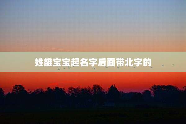 姓雒宝宝起名字后面带北字的