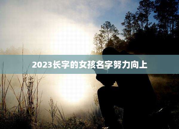 2023长字的女孩名字努力向上