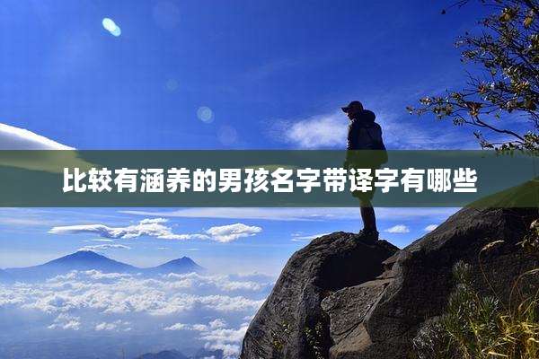 比较有涵养的男孩名字带译字有哪些