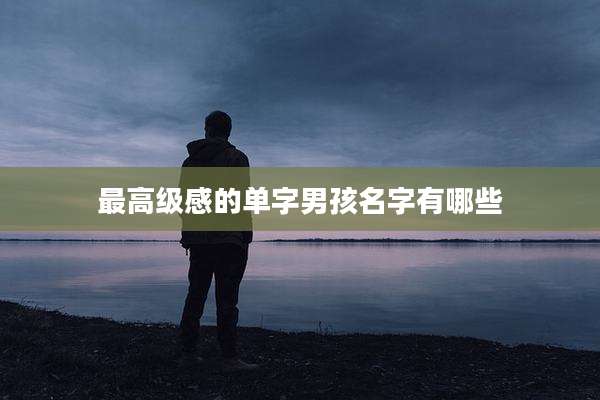 最高级感的单字男孩名字有哪些