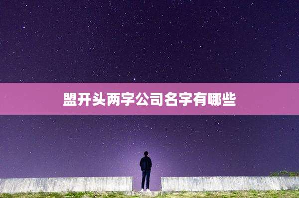 盟开头两字公司名字有哪些