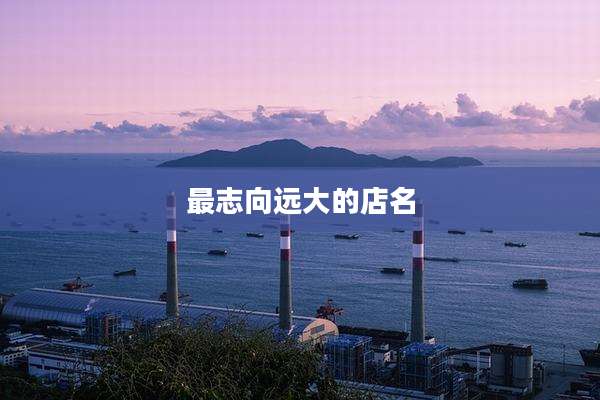 最志向远大的店名