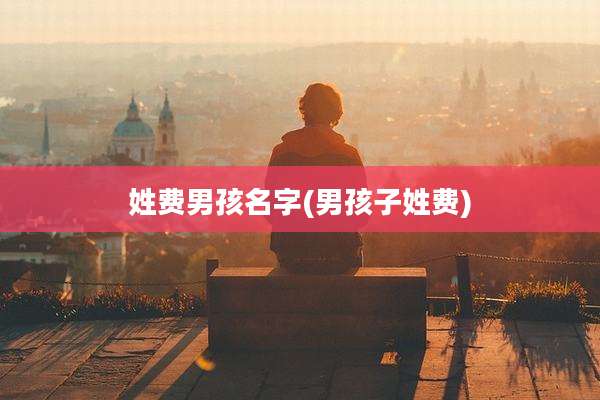 姓费男孩名字(男孩子姓费)