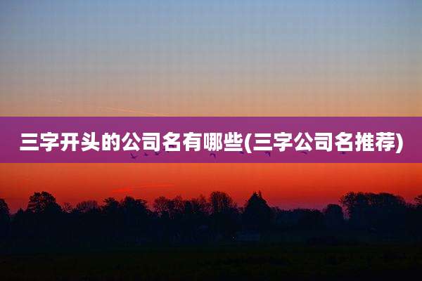 三字开头的公司名有哪些(三字公司名推荐)