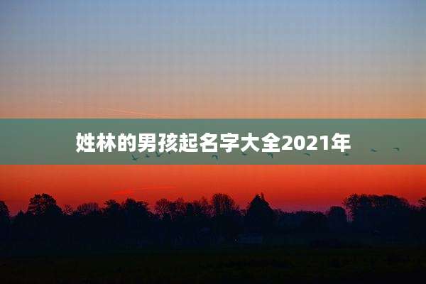 姓林的男孩起名字大全2021年