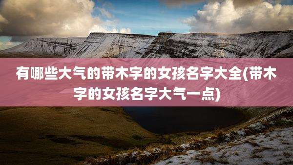 有哪些大气的带木字的女孩名字大全(带木字的女孩名字大气一点)