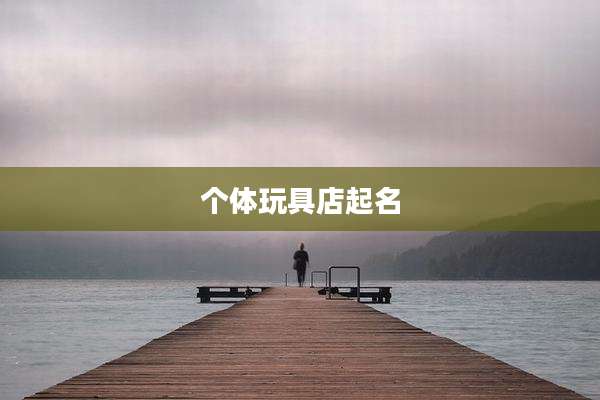 个体玩具店起名