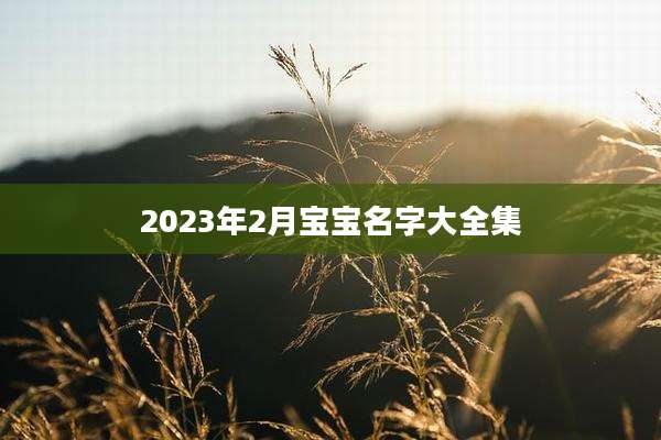 2023年2月宝宝名字大全集